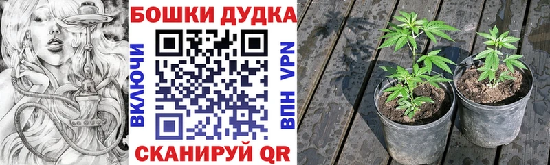 Где можно купить наркотики Калтан А ПВП  МЕФ  Амфетамин  КОКАИН  Каннабис 